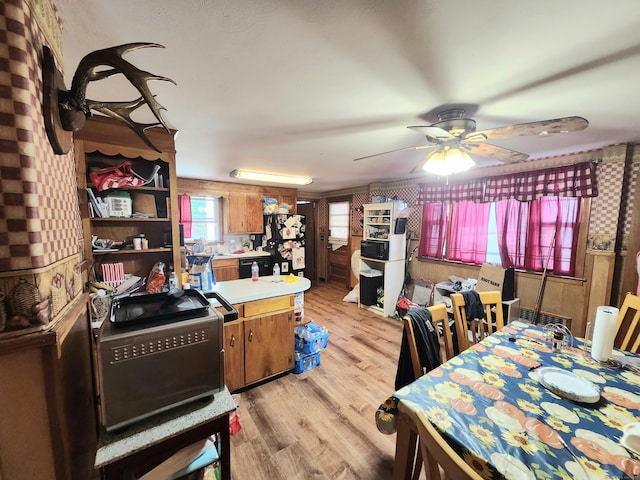 8 Park Ave, Enfield, CT 06082 - dining area with a ceiling fan and light wood-style flooring