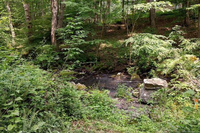 39 Aspen Mill Rd, Ridgefield, CT 06877 - view of wooded area