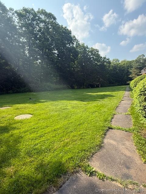 229 Bacon Pond Rd Apt 432, Woodbury, CT 06798 - view of green lawn