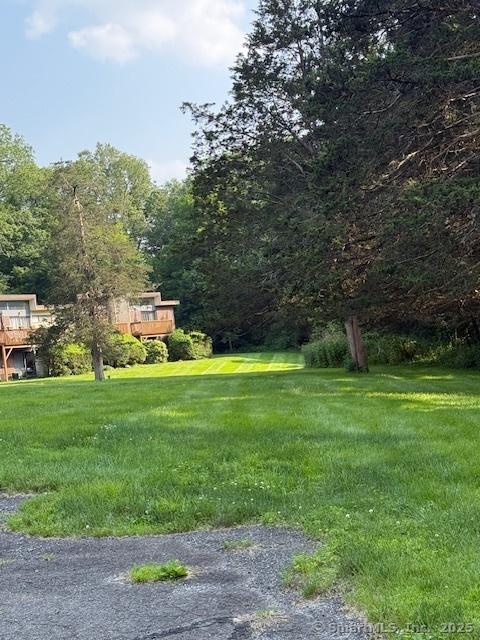 229 Bacon Pond Rd Apt 432, Woodbury, CT 06798 - view of yard