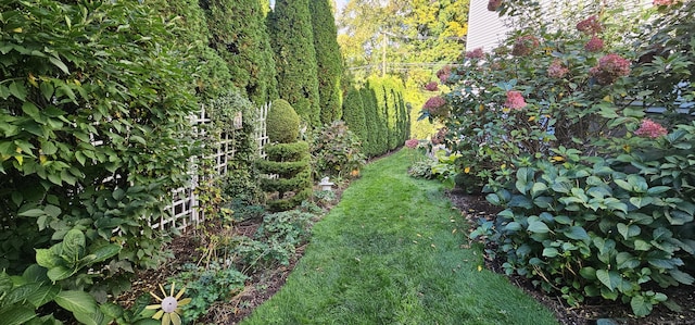 40 Pumpkin Ground Rd, Stratford, CT 06614 - view of yard
