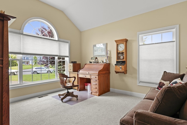 8 Amolia Farms Rd, Windsor, CT 06095 - office with carpet and vaulted ceiling