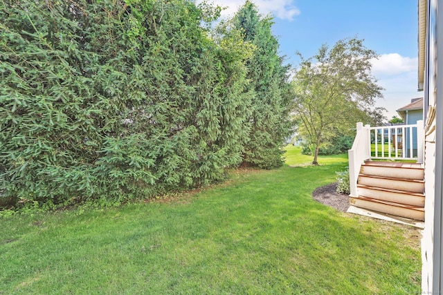 14 Ross Way Unit 14, Windsor Locks, CT 06096 - view of green lawn