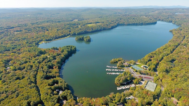 127 Weldon Ct, Goshen, CT 06756 - drone / aerial view of a large body of water