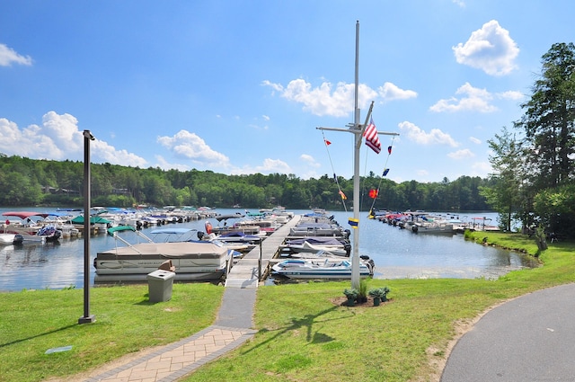 127 Weldon Ct, Goshen, CT 06756 - dock with a water view, a yard, view of marina, and a view of trees