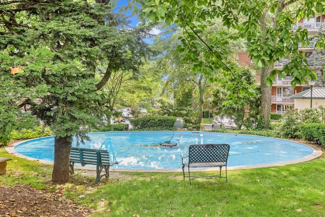 71 Strawberry Hill Ave Apt 1002, Stamford, CT 06902 - community pool featuring a yard