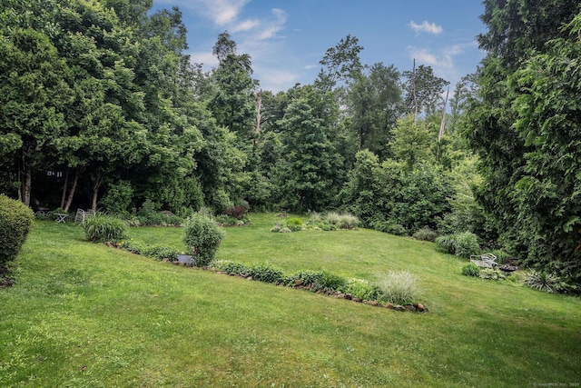 309 Russo Dr, Hamden, CT 06518 - view of grassy yard