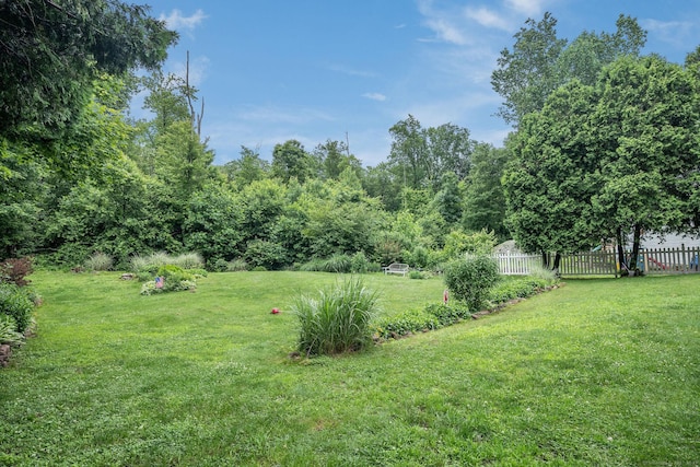 309 Russo Dr, Hamden, CT 06518 - view of yard