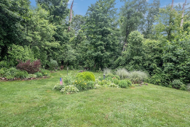 309 Russo Dr, Hamden, CT 06518 - view of grassy yard