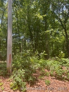 6 Grouse Ln, Woodbridge, CT 06525