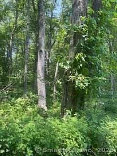 6 Grouse Ln, Woodbridge, CT 06525