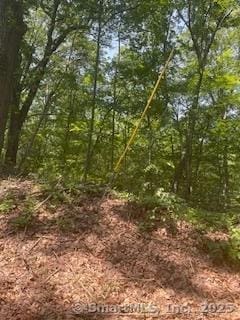 6 Grouse Ln, Woodbridge, CT 06525
