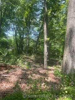 6 Grouse Ln, Woodbridge, CT 06525