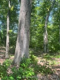 6 Grouse Ln, Woodbridge, CT 06525