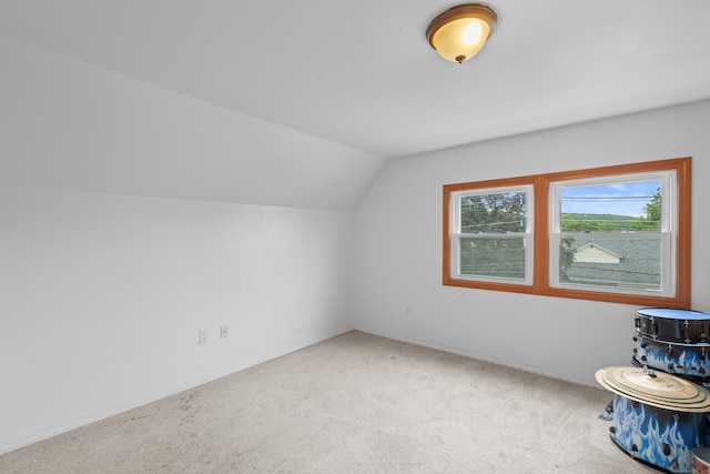 135 W Thames St, Norwich, CT 06360 - additional living space with carpet and vaulted ceiling