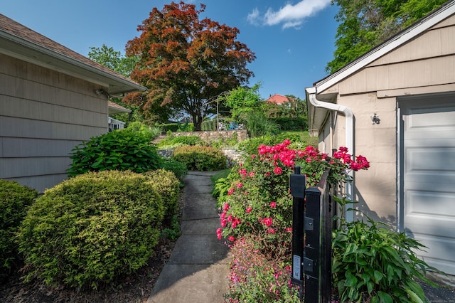 11 Hull Rd, Danbury, CT 06811 - photo 19