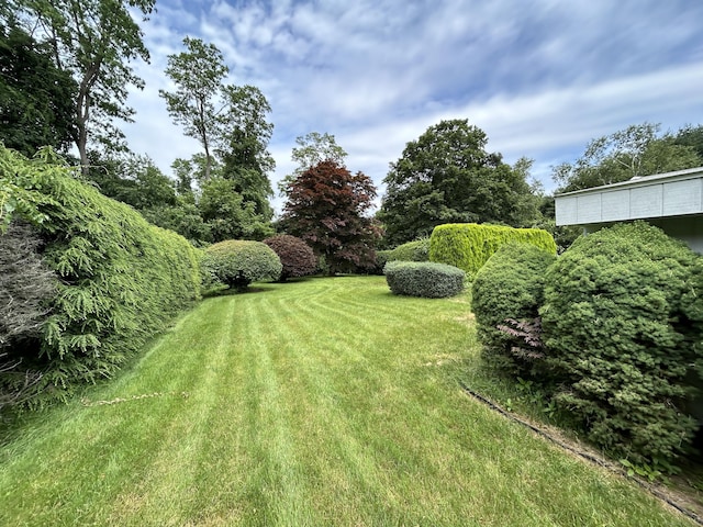 306 Divinity St, Bristol, CT 06010 - view of grassy yard