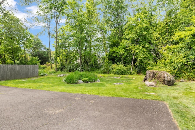 17 Glenwood Ave, Norwalk, CT 06854 - view of yard