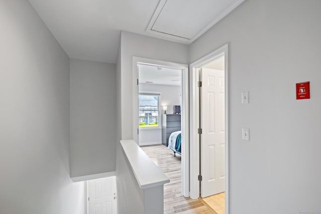 17 Glenwood Ave, Norwalk, CT 06854 - hallway featuring light wood-style floors, attic access, and an upstairs landing