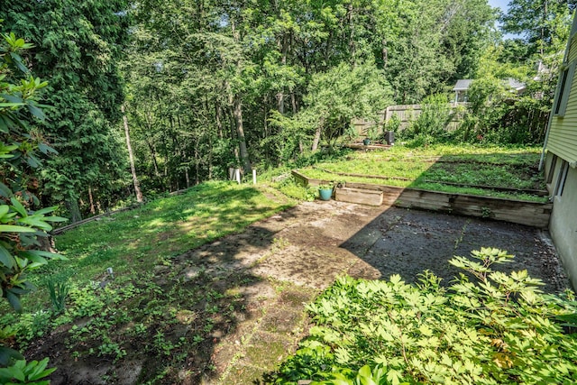 244 Stanwood Dr, New Britain, CT 06053 - view of yard