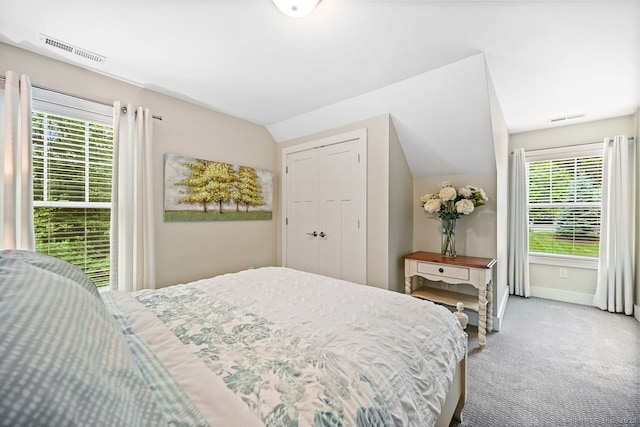 7 Forest View Dr, Newtown, CT 06482 - bedroom featuring carpet flooring, multiple windows, and vaulted ceiling