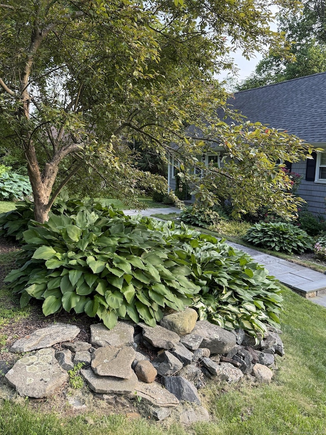 175 Luna Trail Ext, Southbury, CT 06488 - exterior view of a shingled roof