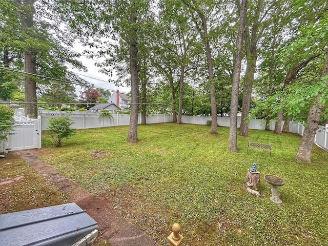 342 Middle Tpke E, Manchester, CT 06040 - view of yard