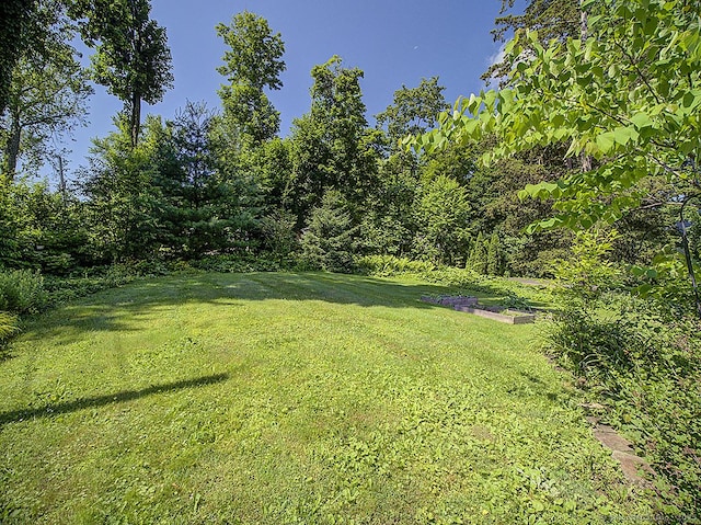 42 Homewood Ave, North Haven, CT 06473 - view of grassy yard