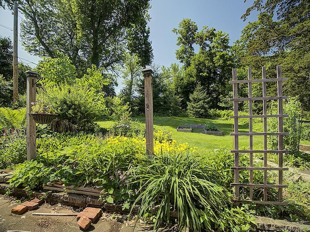 42 Homewood Ave, North Haven, CT 06473 - view of grassy yard