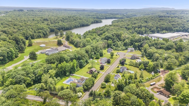 1199 Cornerstone Ct, Cheshire, CT 06410 - bird's eye view of a heavily wooded area and a nearby body of water