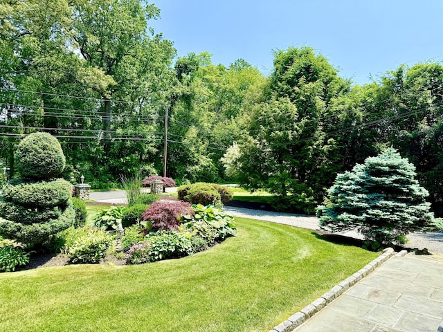 44 Fawn Hill Rd, Shelton, CT 06484 - view of green lawn