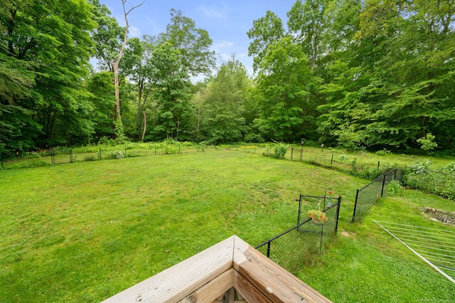 65 Norwich Westerly Rd, North Stonington, CT 06359 - view of yard