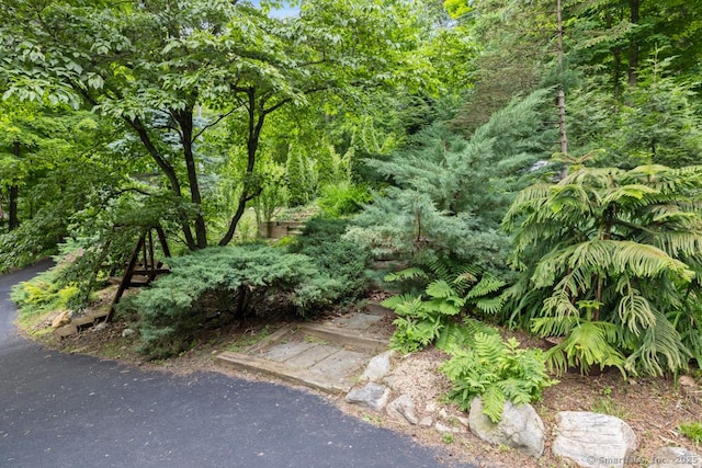 96 Pine Mountain Rd, Ridgefield, CT 06877 - view of undeveloped land
