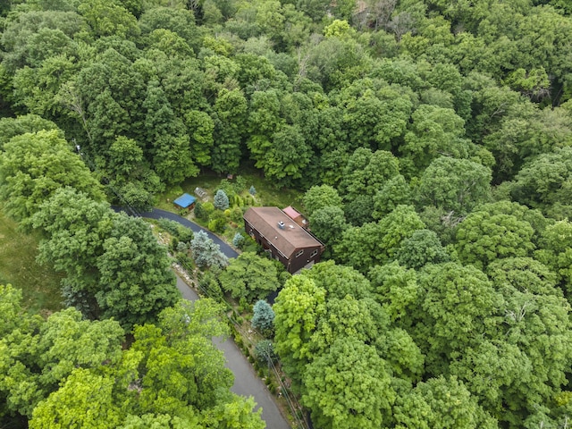96 Pine Mountain Rd, Ridgefield, CT 06877 - drone / aerial view of a forest