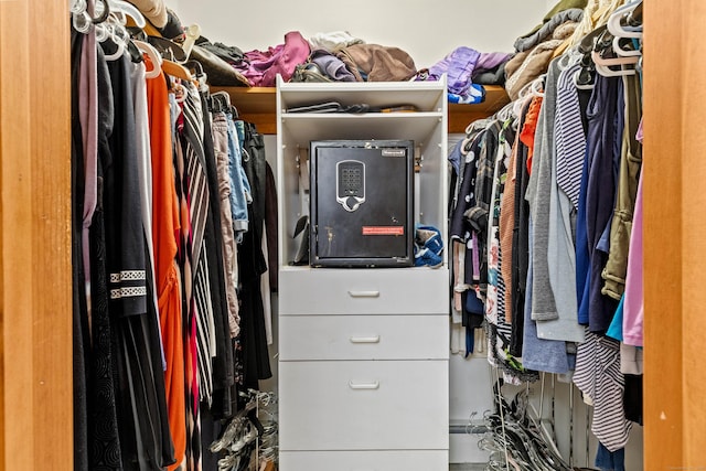 115 Town Farm Rd, East Haddam, CT 06423 - view of spacious closet