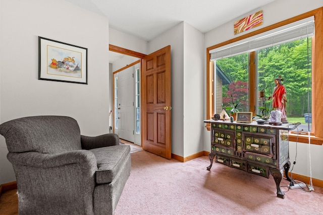 115 Town Farm Rd, East Haddam, CT 06423 - sitting room featuring carpet flooring and baseboards