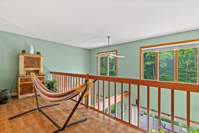 115 Town Farm Rd, East Haddam, CT 06423 - hallway with light wood-style floors and a baseboard radiator