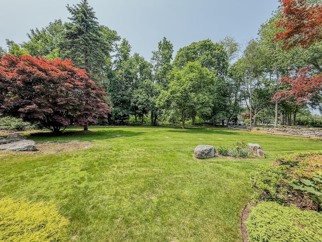 143 Soundview Ave, Shelton, CT 06484 - view of green lawn