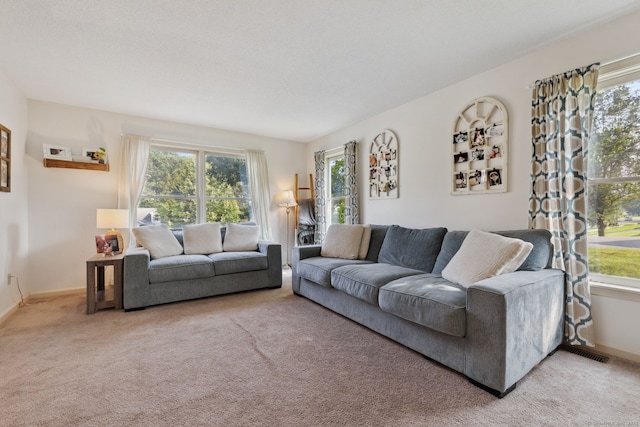 119 NW Dr, Plainville, CT 06062 - living area featuring plenty of natural light and carpet floors
