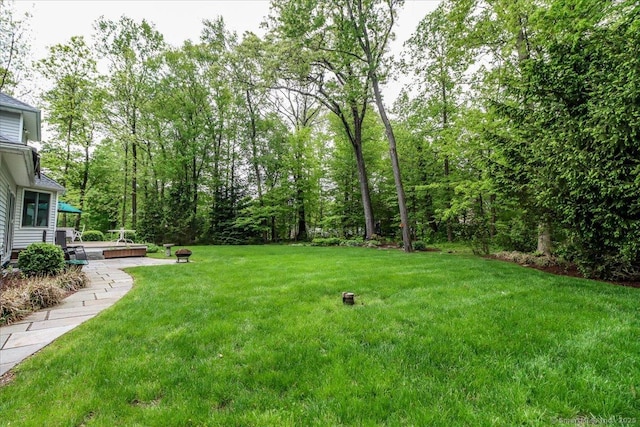 9 Maplewood Dr, Danbury, CT 06811 - view of green lawn with a deck