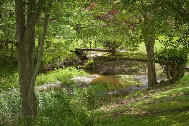 17 Valley Rd, Clinton, CT 06413 - view of nature