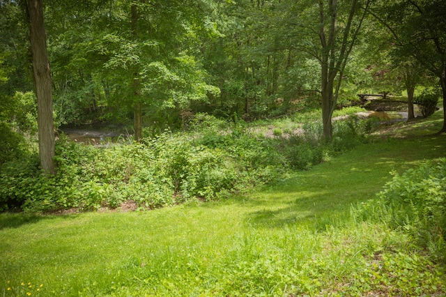 17 Valley Rd, Clinton, CT 06413 - view of yard with a wooded view