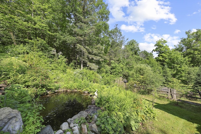98 Aetna Ave, Torrington, CT 06790 - view of yard with a forest view