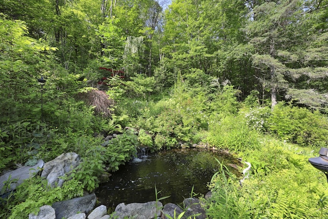 98 Aetna Ave, Torrington, CT 06790 - view of tree filled area
