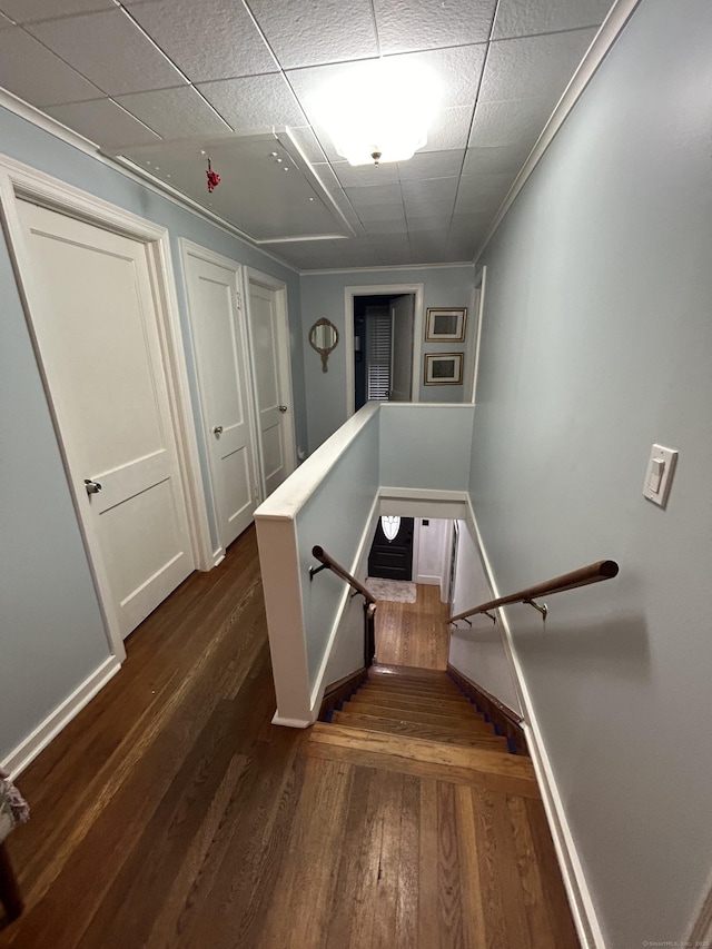 5 Sunnyslope Dr, Middletown, CT 06457 - stairs featuring wood finished floors and a drop ceiling