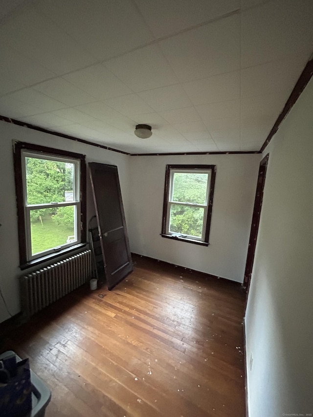 5 Sunnyslope Dr, Middletown, CT 06457 - empty room featuring radiator heating unit and light wood-style floors