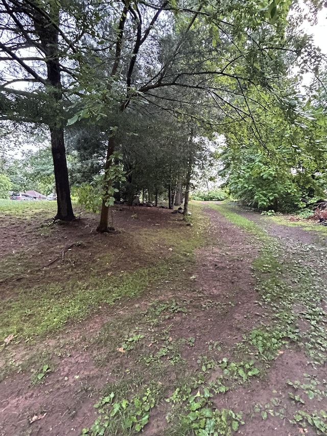 5 Sunnyslope Dr, Middletown, CT 06457 - view of yard