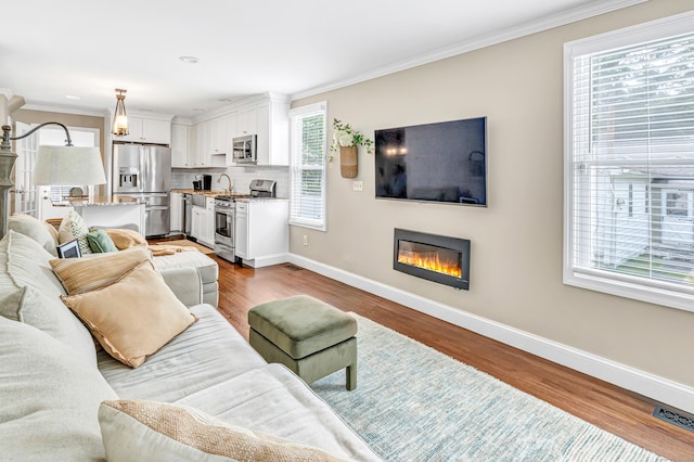 131 Long Hill Cross Rd, Shelton, CT 06484 - living area with ornamental molding, wood finished floors, and a glass covered fireplace