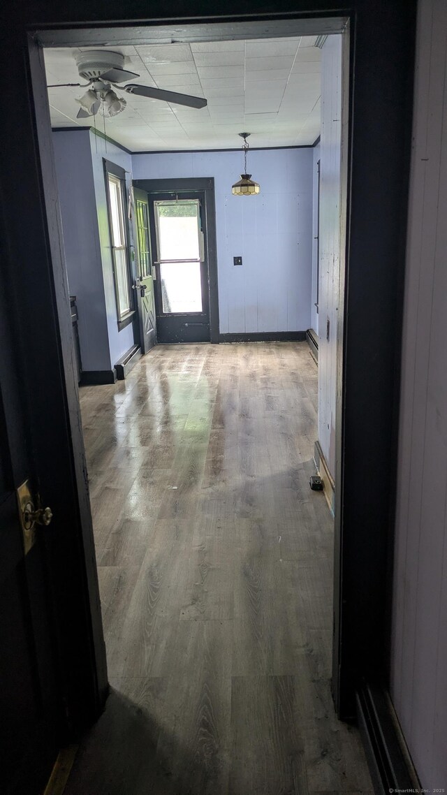 44 Convent Ave, Norwich, CT 06360 - corridor featuring wood finished floors and a paneled ceiling