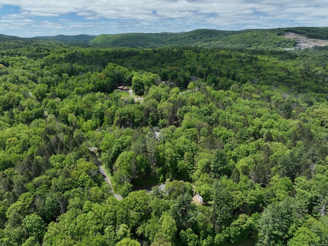97 Taylor Rd, Barkhamsted, CT 06063 - photo 5